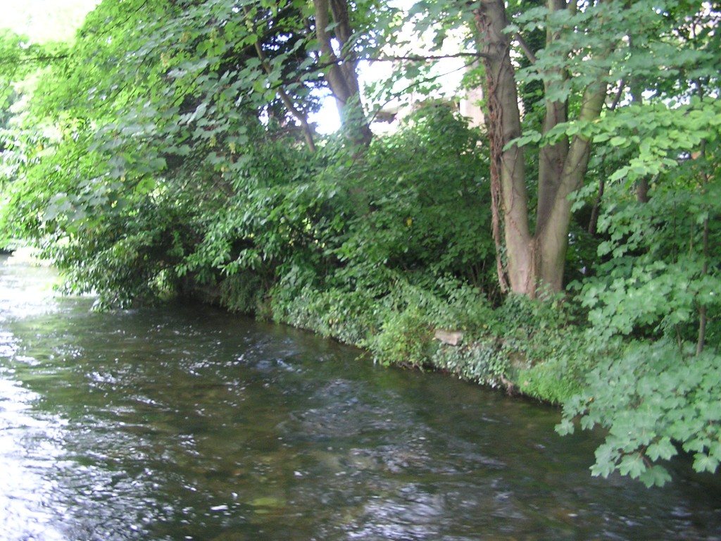 The River Itchen today