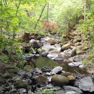 Lithia Park, Ashland