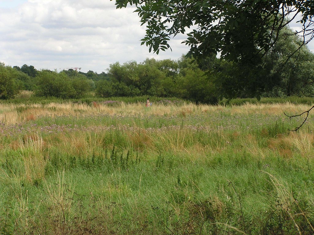 The fens outside of Cambridge